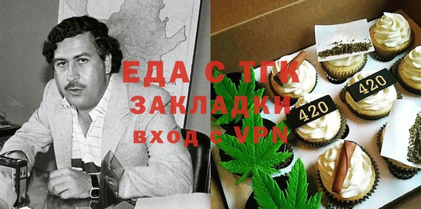 сатива Туринск