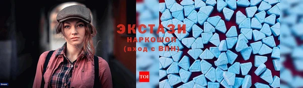 сатива Туринск