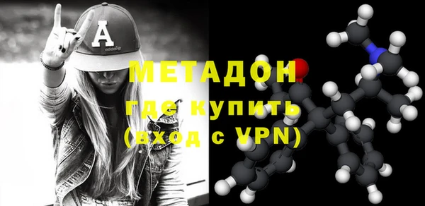 сатива Туринск