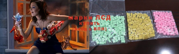 прущие грибы Тихвин
