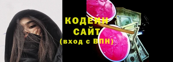 прущие грибы Тихвин