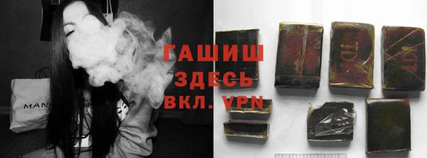 прущие грибы Тихвин