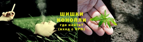 Альфа ПВП Тында