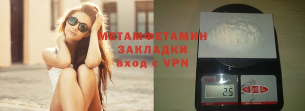 сатива Туринск