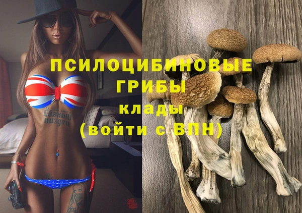 Альфа ПВП Тында