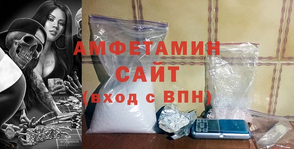 сатива Туринск