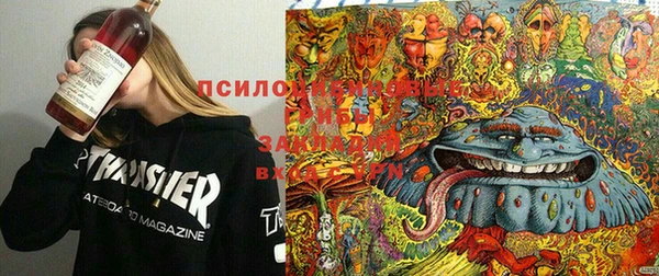 спиды Тихорецк