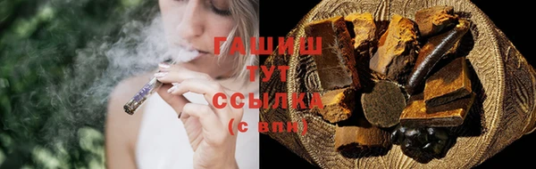 прущие грибы Тихвин