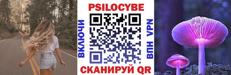 Купить где  Губкин  Псилоцибиновые грибы Psilocybine cubensis 